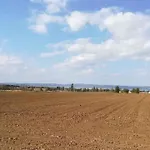 In 33661 Σπίτι διακοπών *