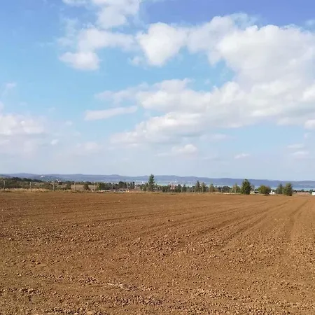 In 33661 بيت للعطل *