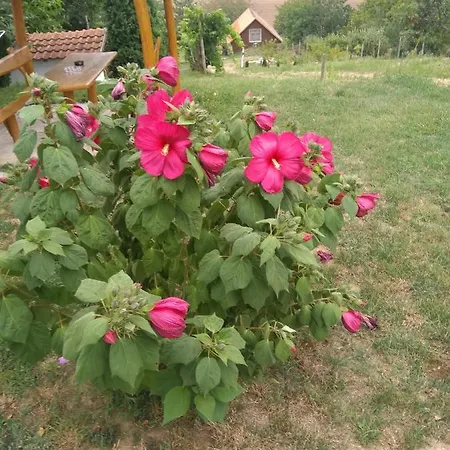 In 33661 Holiday home