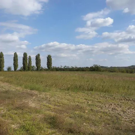 בית נופש In 33661 Balatonendréd