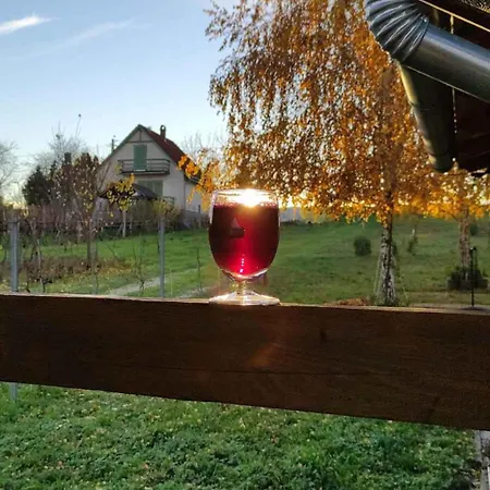 In 33661 بيت للعطل