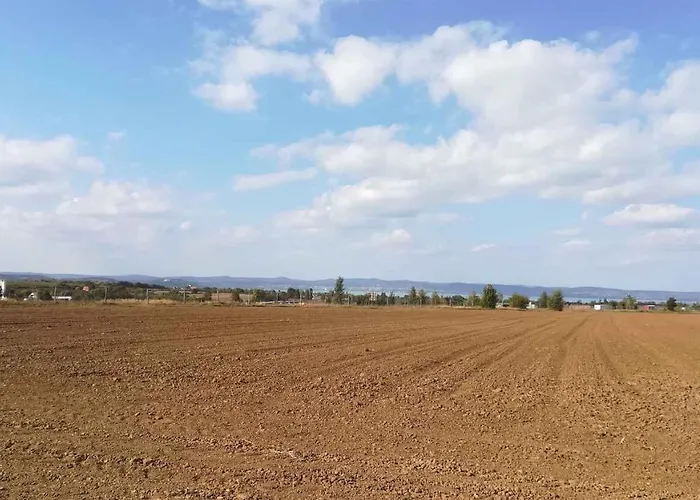 In 33661 בית נופש *