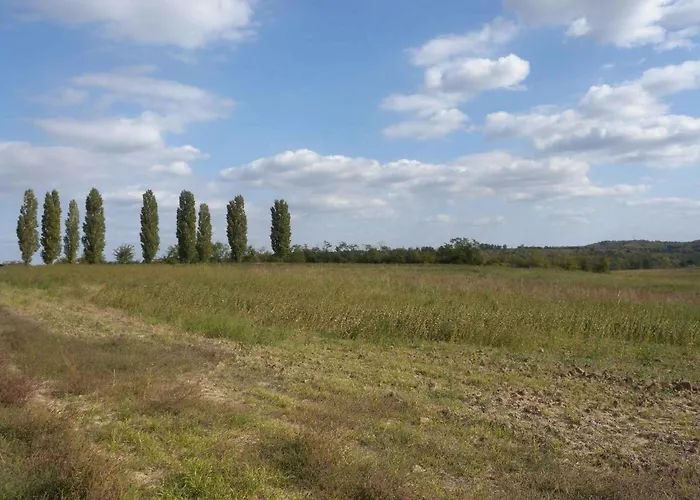 Semesterbostad In 33661 Balatonendréd