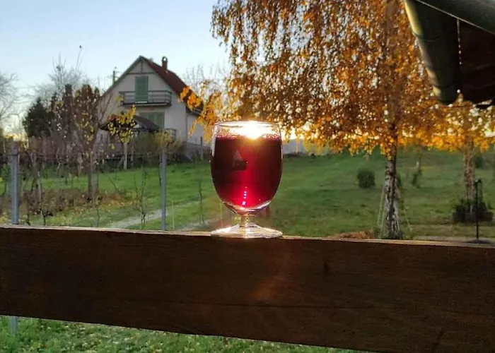 In 33661 Semesterbostad